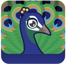 Peacock(RR)